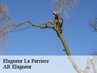 Elagueur la-perriere-61360 AR Elagueur