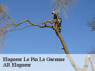 Elagueur  le-pin-la-garenne-61400 Entreprise KIVIG, Elagage express 61