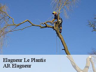 Elagueur  le-plantis-61170 Entreprise KIVIG, Elagage express 61