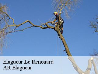 Elagueur le-renouard-61120 AR Elagueur