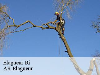 Elagueur  ri-61210 AR Elagueur