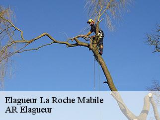Elagueur la-roche-mabile-61420 Entreprise KIVIG, Elagage express 61