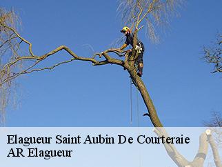 Elagueur  saint-aubin-de-courteraie-61560 AR Elagueur