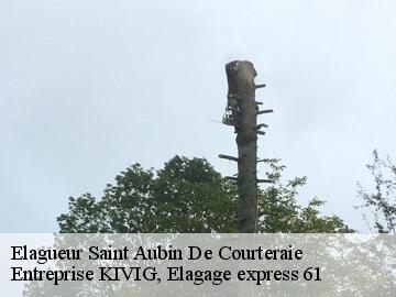Elagueur  saint-aubin-de-courteraie-61560 Entreprise KIVIG, Elagage express 61