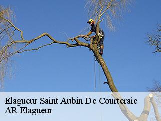 Elagueur  saint-aubin-de-courteraie-61560 Entreprise KIVIG, Elagage express 61