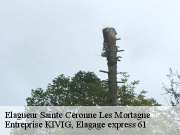 Elagueur  sainte-ceronne-les-mortagne-61380 Entreprise KIVIG, Elagage express 61