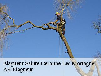 Elagueur  sainte-ceronne-les-mortagne-61380 Entreprise KIVIG, Elagage express 61