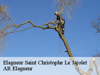 Elagueur saint-christophe-le-jajolet-61570 AR Elagueur