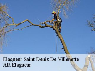Elagueur saint-denis-de-villenette-61330 AR Elagueur
