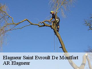 Elagueur  saint-evroult-de-montfort-61230 Entreprise KIVIG, Elagage express 61