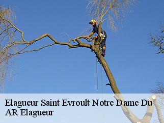 Elagueur  saint-evroult-notre-dame-du-61550 AR Elagueur