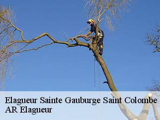Elagueur sainte-gauburge-saint-colombe-61370 AR Elagueur
