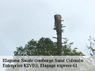 Elagueur  sainte-gauburge-saint-colombe-61370 Entreprise KIVIG, Elagage express 61