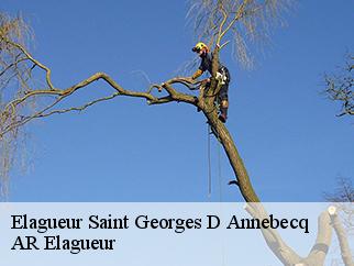 Elagueur  saint-georges-d-annebecq-61600 AR Elagueur