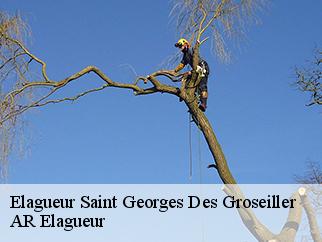 Elagueur  saint-georges-des-groseiller-61100 Entreprise KIVIG, Elagage express 61