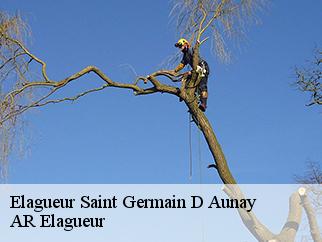 Elagueur saint-germain-d-aunay-61470 AR Elagueur