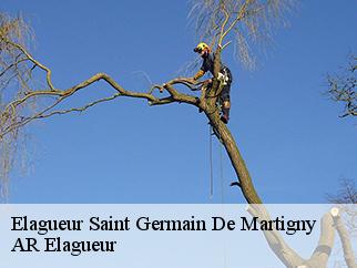 Elagueur  saint-germain-de-martigny-61560 AR Elagueur