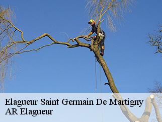 Elagueur  saint-germain-de-martigny-61560 Entreprise KIVIG, Elagage express 61