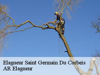 Elagueur saint-germain-du-corbeis-61000 Entreprise KIVIG, Elagage express 61