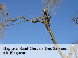 Elagueur  saint-gervais-des-sablons-61160 Entreprise KIVIG, Elagage express 61