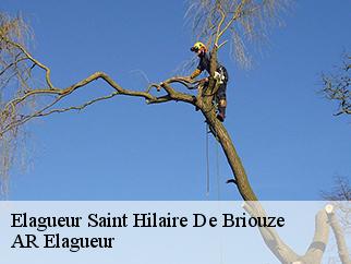 Elagueur  saint-hilaire-de-briouze-61220 AR Elagueur