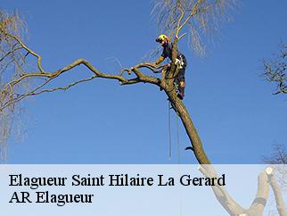 Elagueur  saint-hilaire-la-gerard-61500 Entreprise KIVIG, Elagage express 61