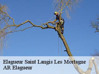 Elagueur  saint-langis-les-mortagne-61400 Entreprise KIVIG, Elagage express 61