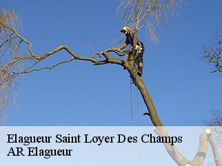 Elagueur saint-loyer-des-champs-61570 AR Elagueur