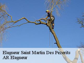 Elagueur saint-martin-des-pezerits-61380 AR Elagueur