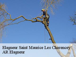 Elagueur  saint-maurice-les-charencey-61190 Entreprise KIVIG, Elagage express 61