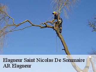 Elagueur saint-nicolas-de-sommaire-61550 AR Elagueur