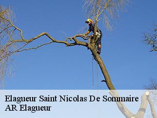 Elagueur  saint-nicolas-de-sommaire-61550 Entreprise KIVIG, Elagage express 61