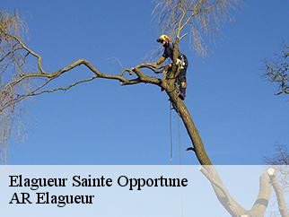 Elagueur  sainte-opportune-61100 Entreprise KIVIG, Elagage express 61