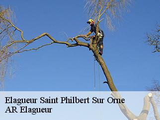 Elagueur saint-philbert-sur-orne-61430 AR Elagueur