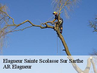 Elagueur  sainte-scolasse-sur-sarthe-61170 Entreprise KIVIG, Elagage express 61