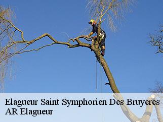 Elagueur  saint-symphorien-des-bruyeres-61300 AR Elagueur