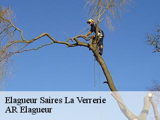 Elagueur  saires-la-verrerie-61220 AR Elagueur