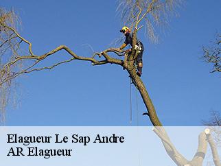 Elagueur  le-sap-andre-61230 Entreprise KIVIG, Elagage express 61