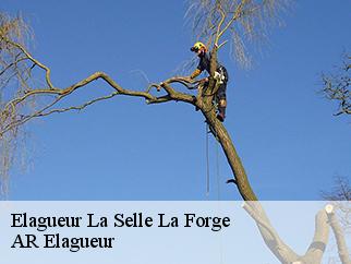 Elagueur  la-selle-la-forge-61100 Entreprise KIVIG, Elagage express 61