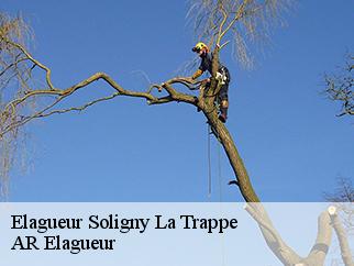 Elagueur soligny-la-trappe-61380 Entreprise KIVIG, Elagage express 61