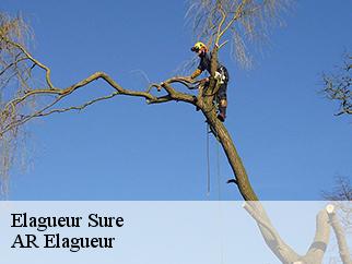 Elagueur sure-61360 AR Elagueur
