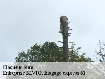 Elagueur  sure-61360 Entreprise KIVIG, Elagage express 61