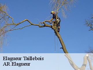 Elagueur taillebois-61100 AR Elagueur
