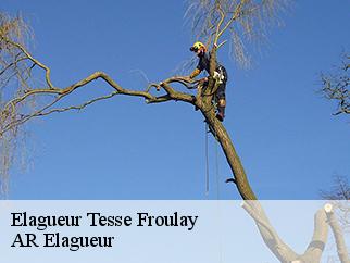 Elagueur tesse-froulay-61410 AR Elagueur