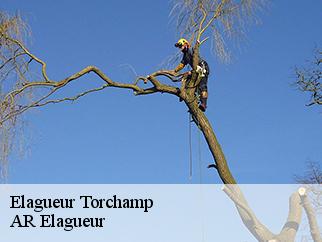 Elagueur torchamp-61330 AR Elagueur