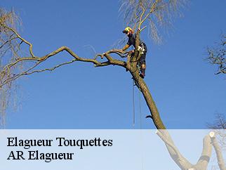 Elagueur touquettes-61550 AR Elagueur