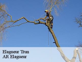 Elagueur trun-61160 AR Elagueur