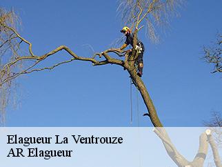 Elagueur la-ventrouze-61190 Entreprise KIVIG, Elagage express 61