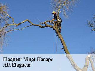 Elagueur  vingt-hanaps-61250 Entreprise KIVIG, Elagage express 61