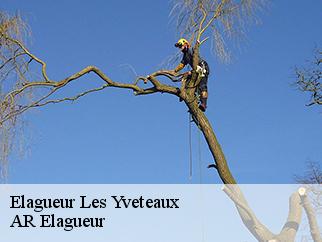 Elagueur les-yveteaux-61210 Entreprise KIVIG, Elagage express 61